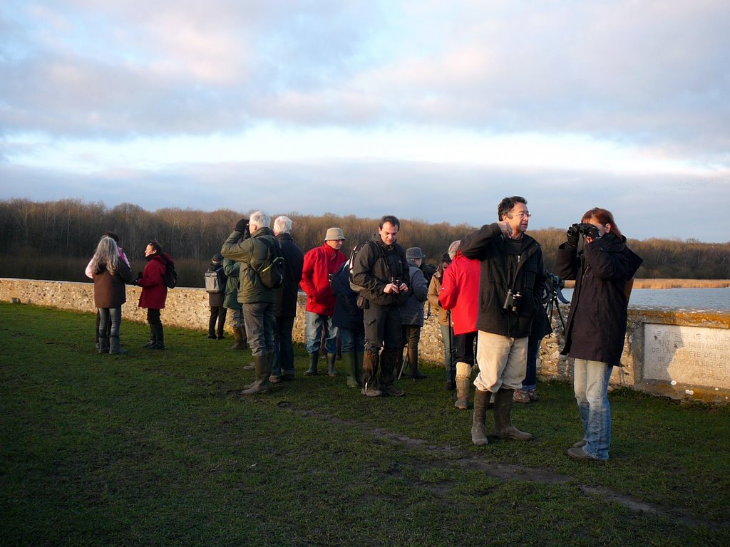 2012-01-Ornithologie à St-Hubert